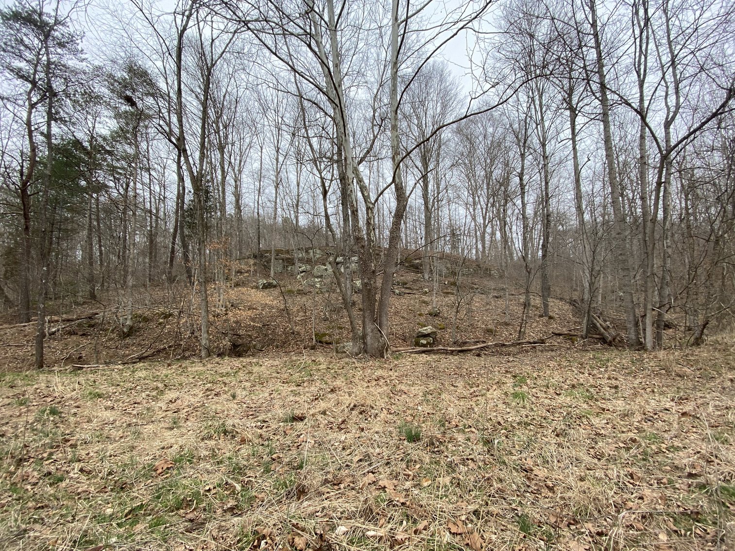 Image for Akers Estate Auction w/ Real Estate