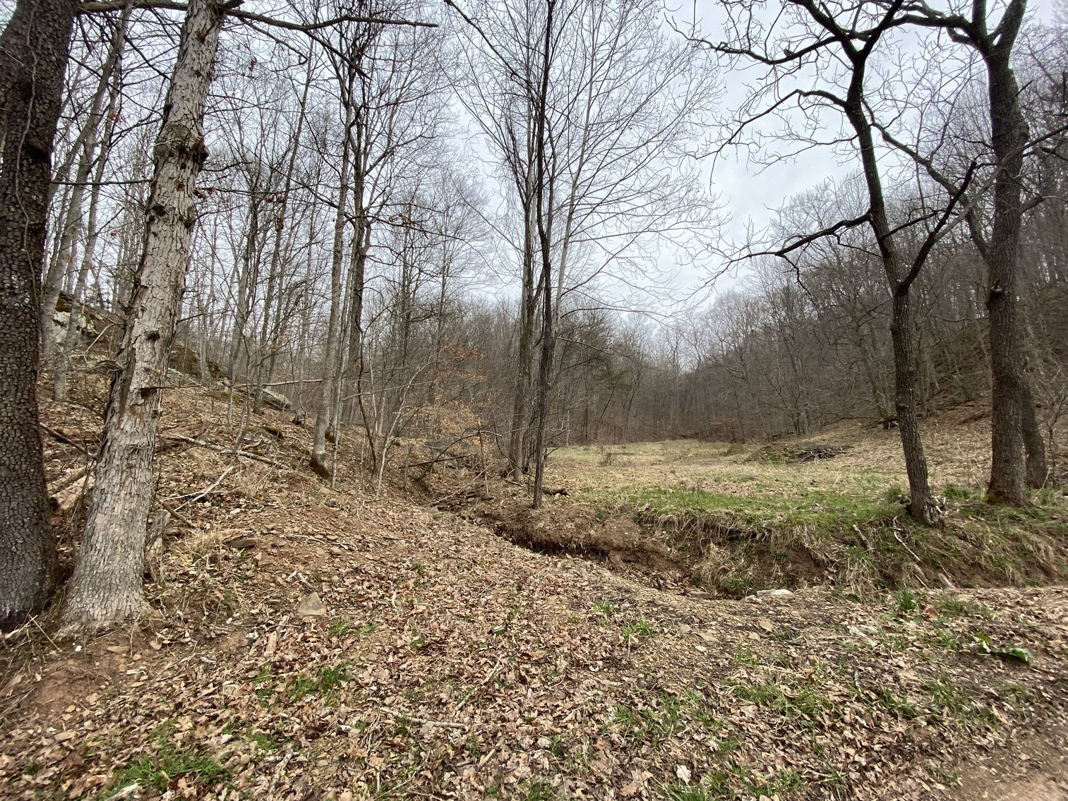 Image for Akers Estate Auction w/ Real Estate