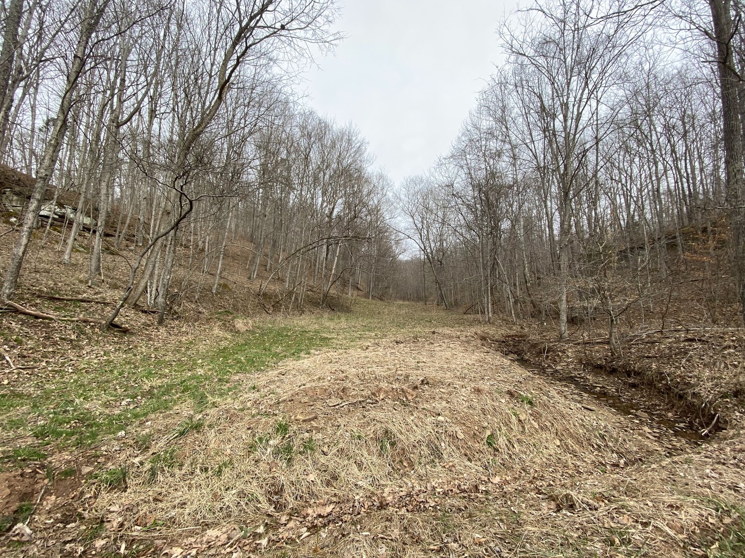 Image for Akers Estate Auction w/ Real Estate