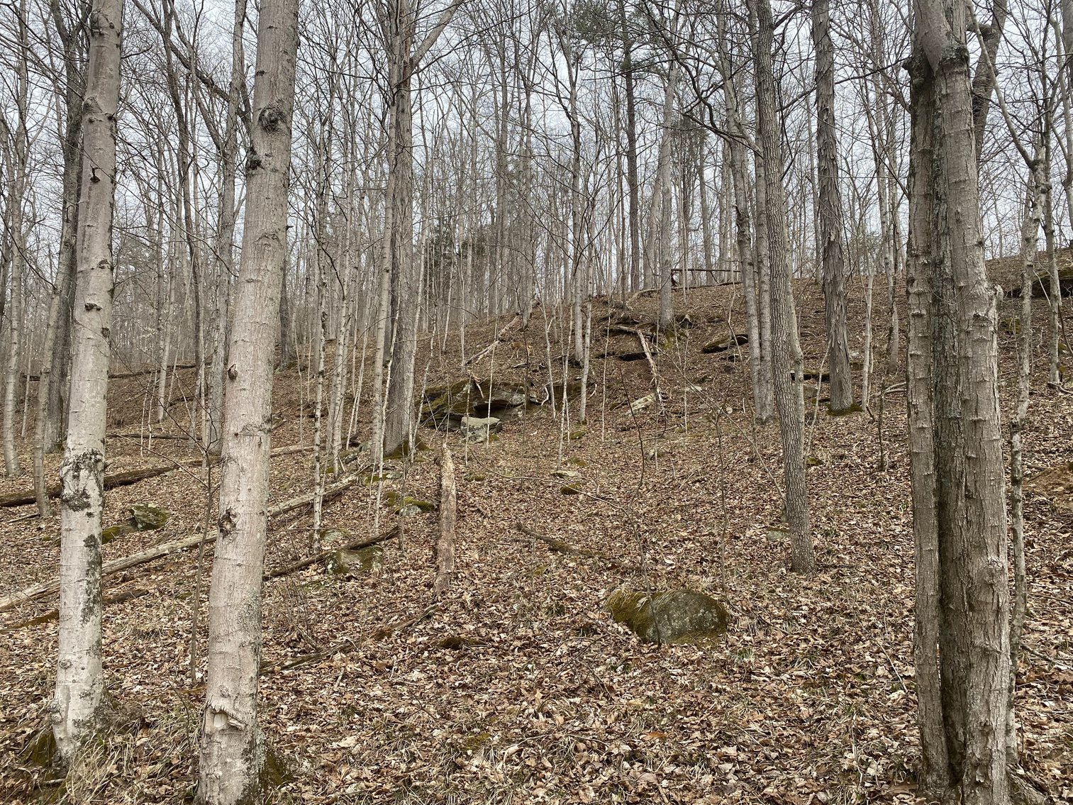 Image for Akers Estate Auction w/ Real Estate