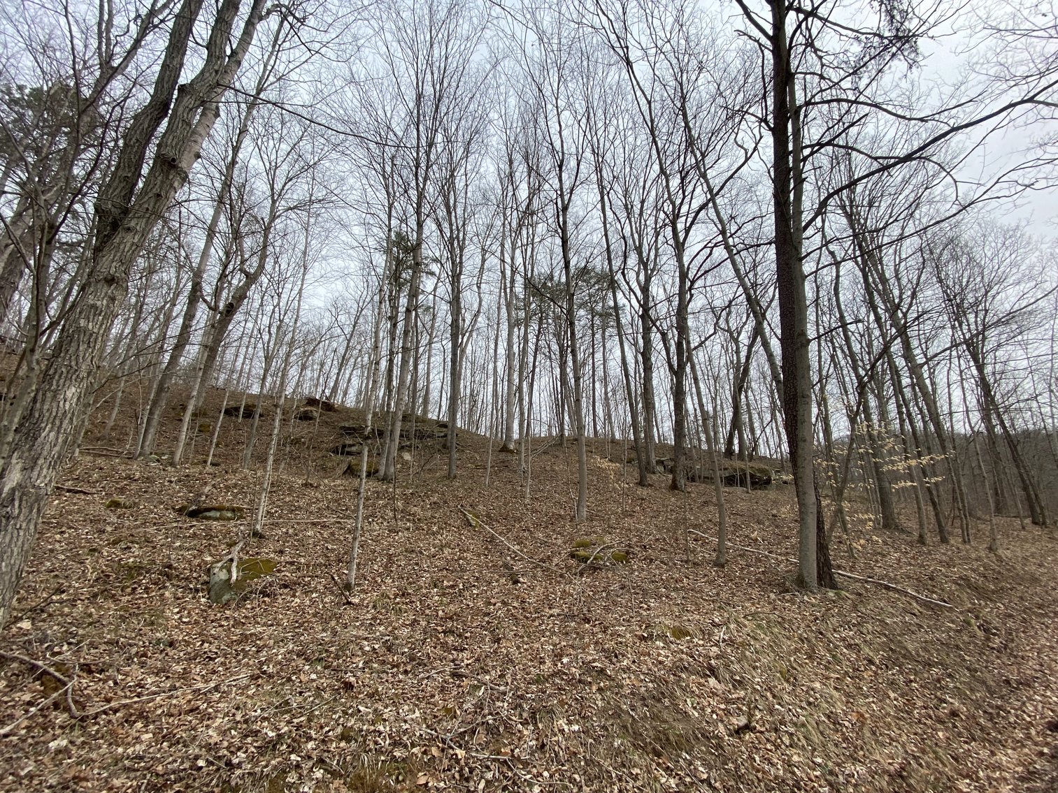 Image for Akers Estate Auction w/ Real Estate