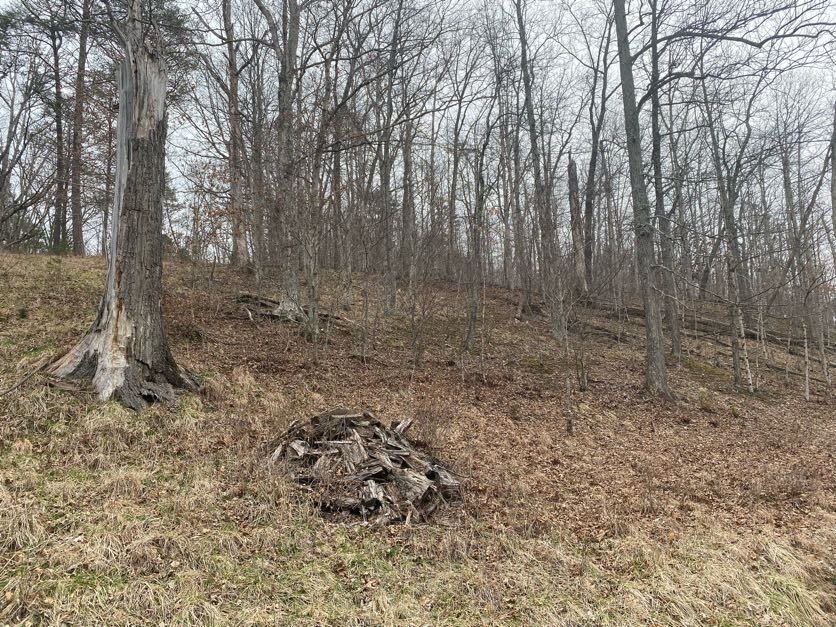 Image for Akers Estate Auction w/ Real Estate