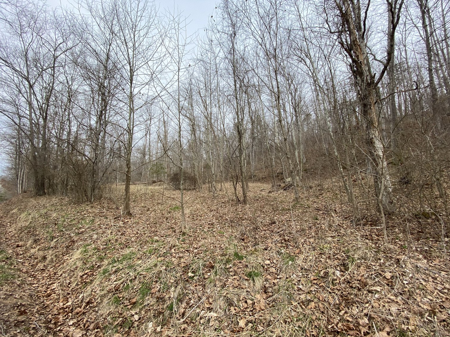 Image for Akers Estate Auction w/ Real Estate