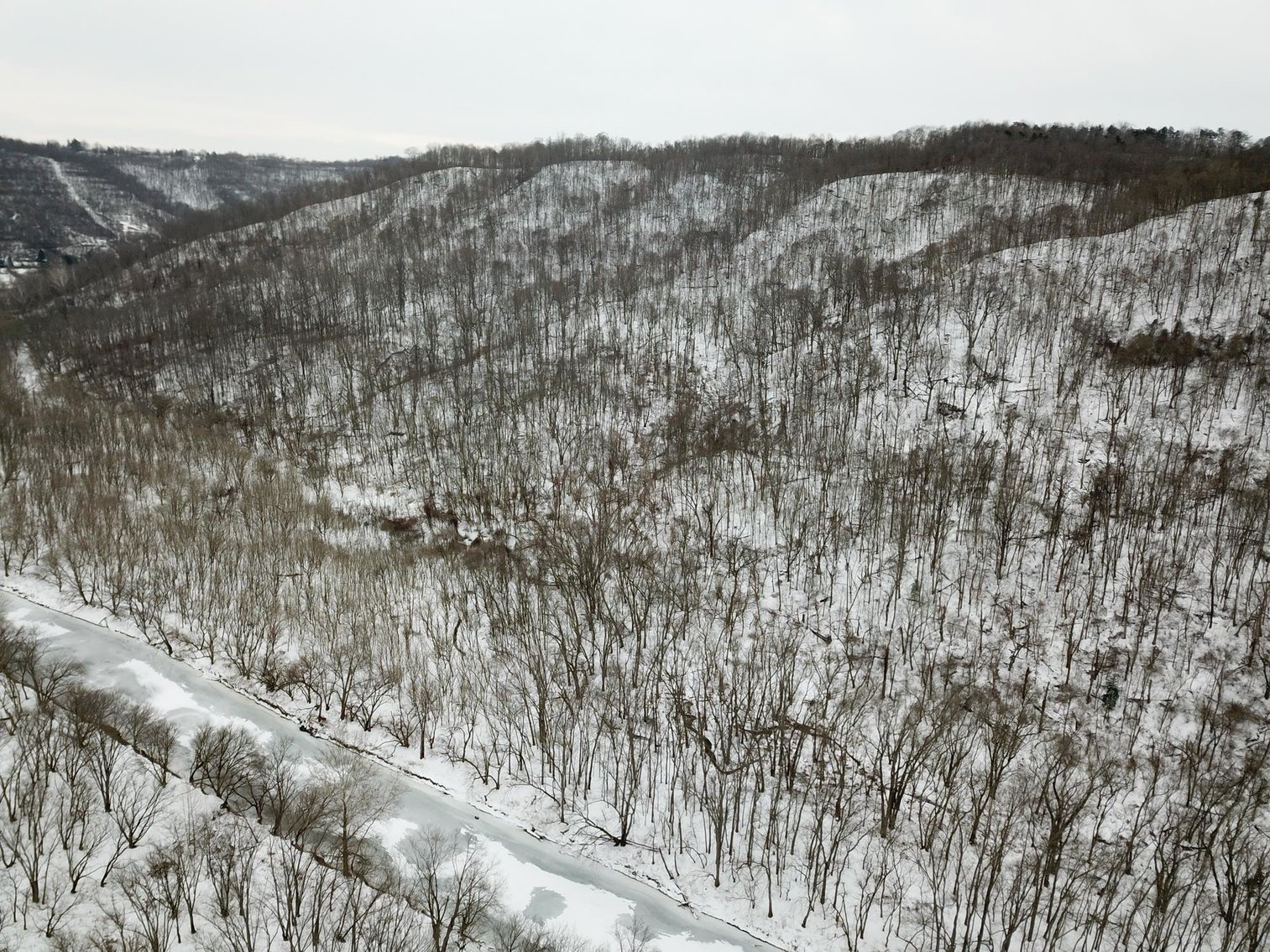 Image for SOLD $162,250 - 70 Acres in Moundsville Selling to the Highest Bidder