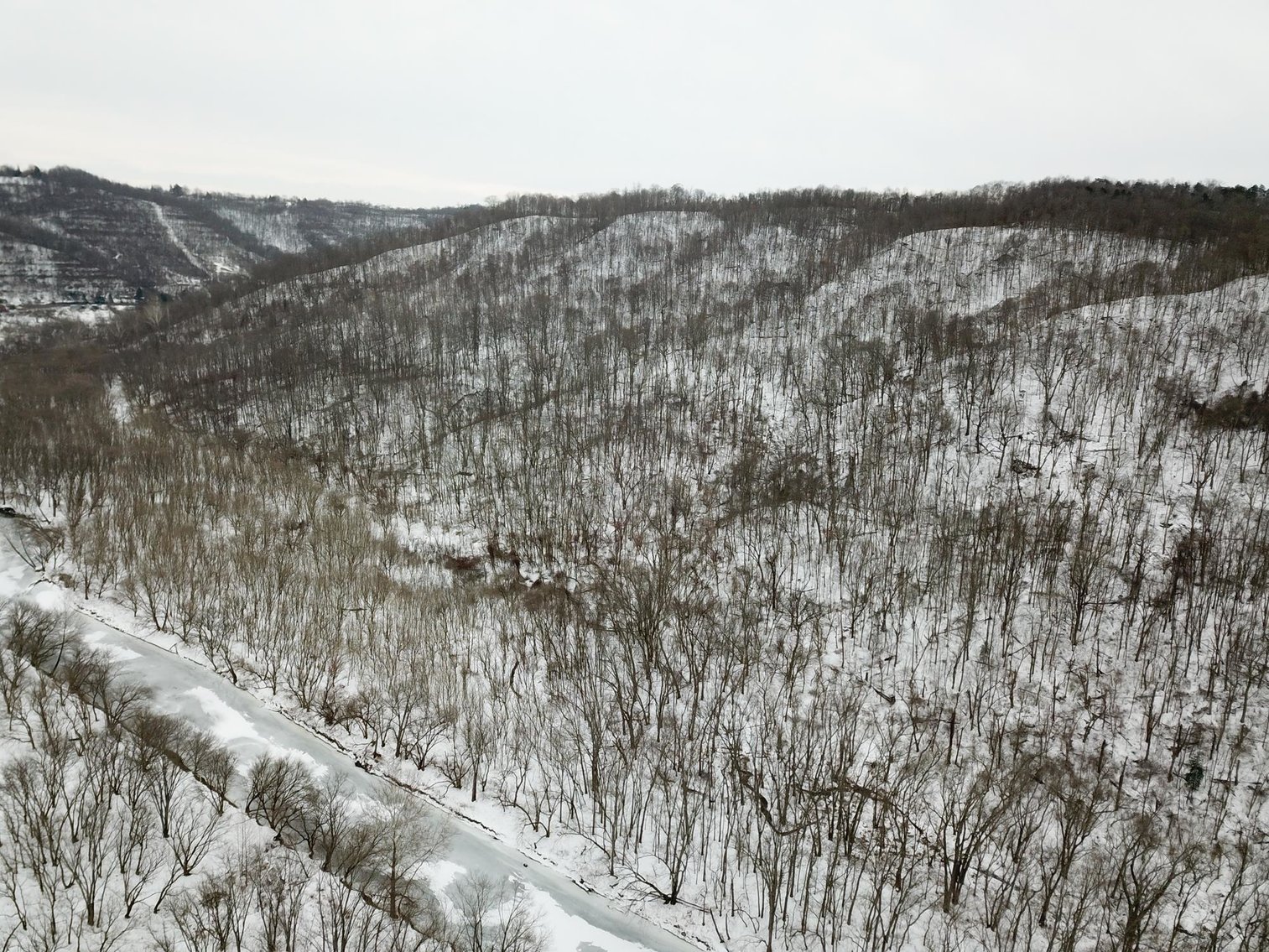 Image for SOLD $162,250 - 70 Acres in Moundsville Selling to the Highest Bidder