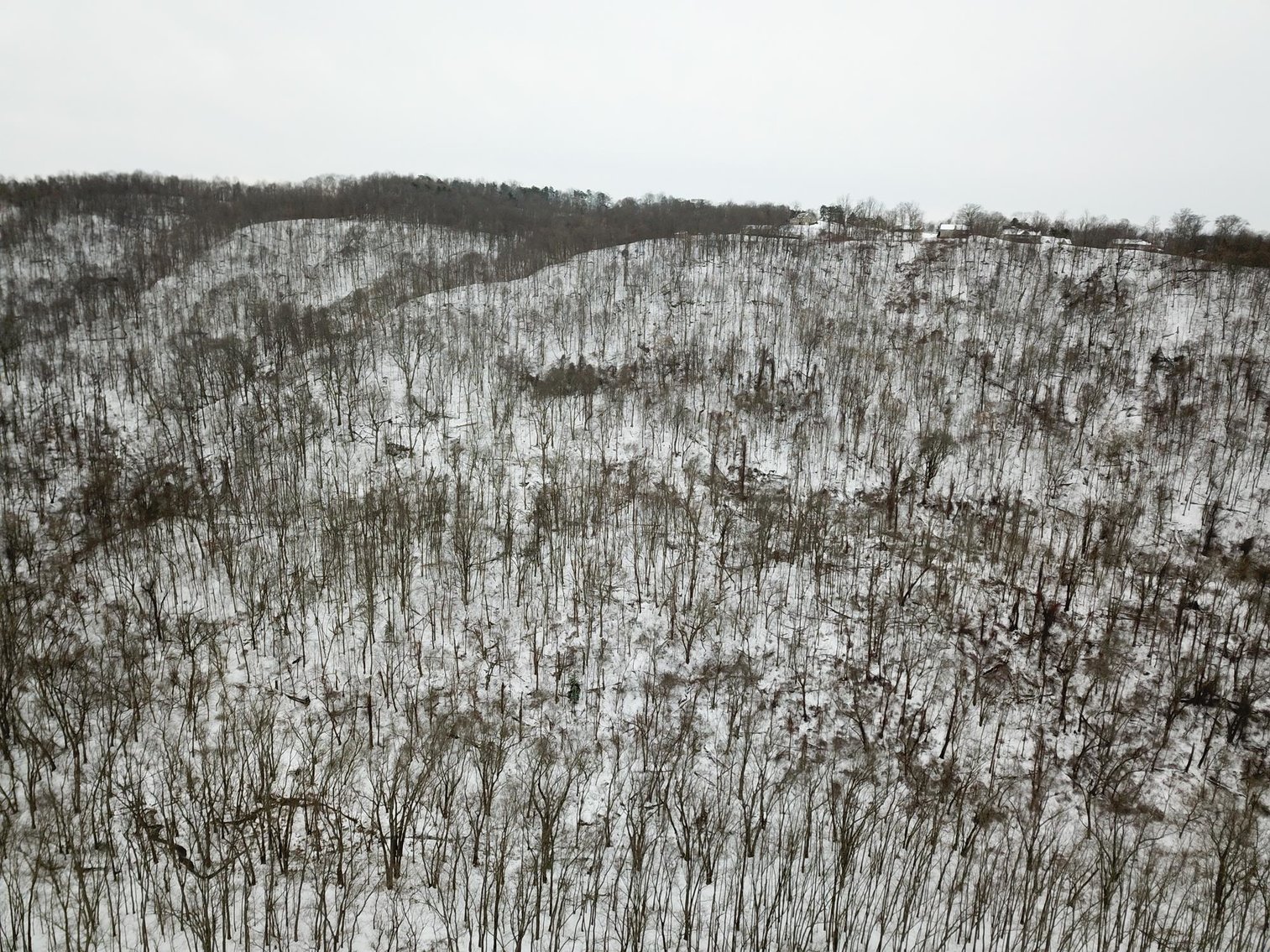 Image for SOLD $162,250 - 70 Acres in Moundsville Selling to the Highest Bidder