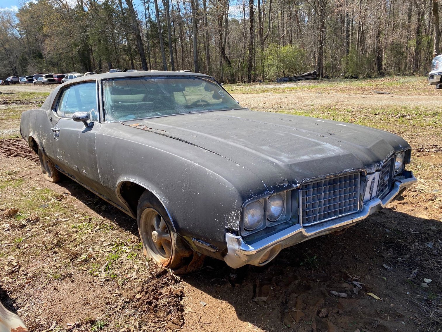 Image for City of Greensboro LOE Impounds