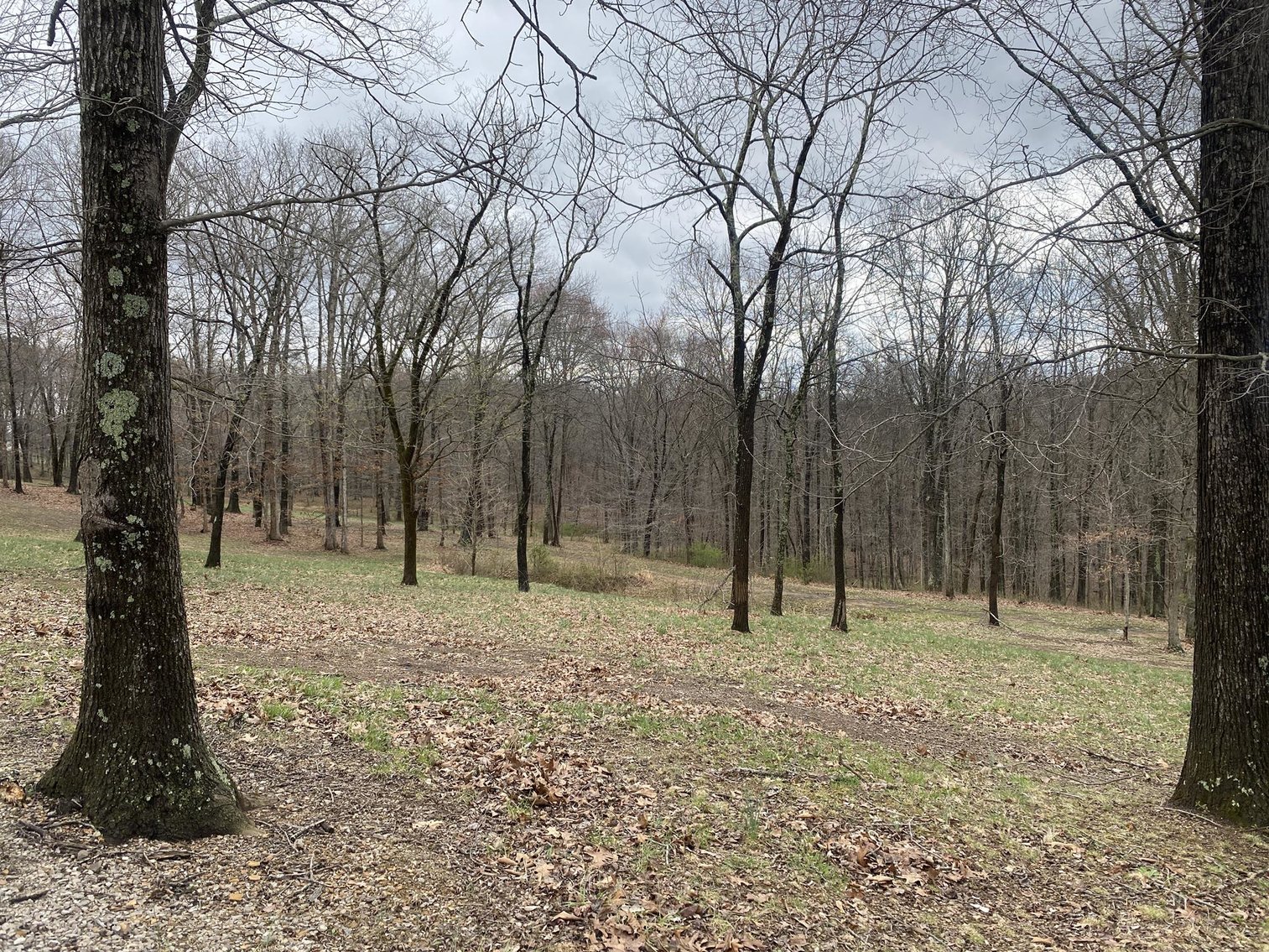 Image for SOLD $550,000 - Deerland RV Park & Resort on 65 Acres