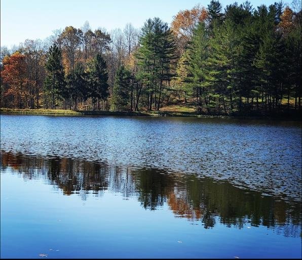 Image for SOLD $550,000 - Deerland RV Park & Resort on 65 Acres