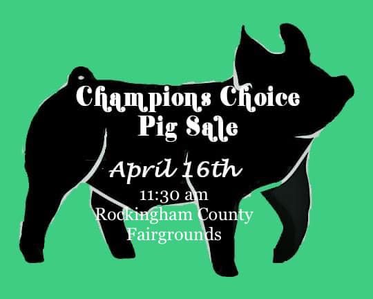 Image for Champions Choice Pig Sale