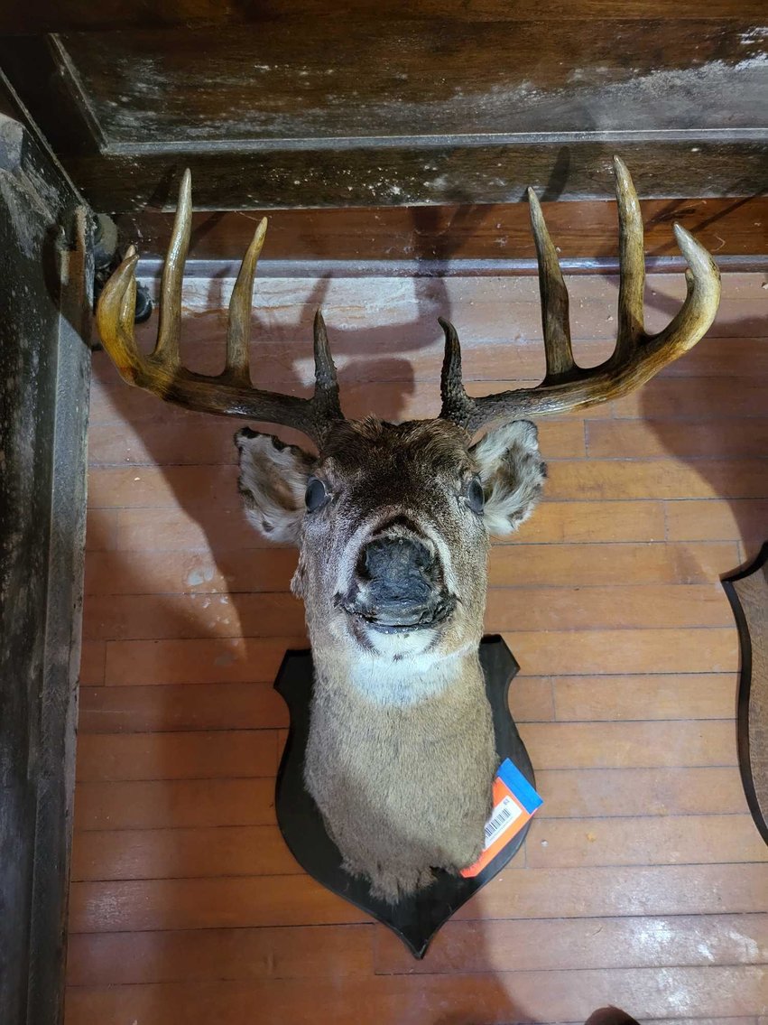 Image for Furniture, Collectibles, Household-Denmark