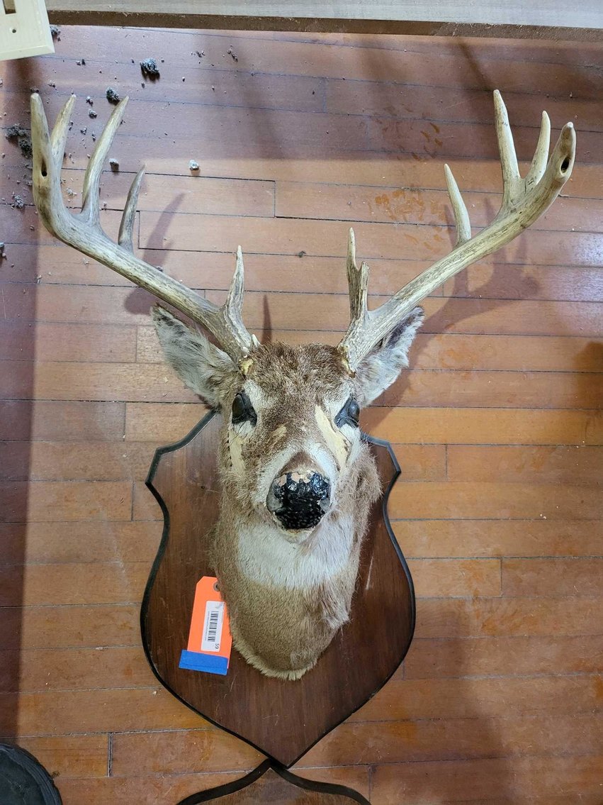 Image for Furniture, Collectibles, Household-Denmark