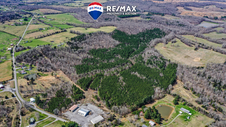 Image for 107 +/- Acres Selling in 4 Tracts