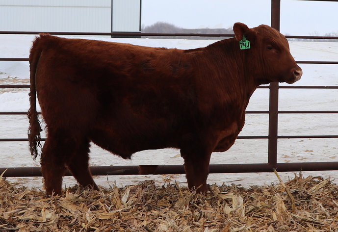 Image for APRIL SPORTING, RECREATION & EQUIPMENT ONLINE ONLY CONSIGNMENT AUCTION