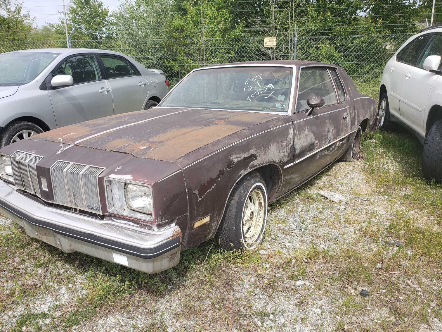 Image for City of Greensboro May Impounds