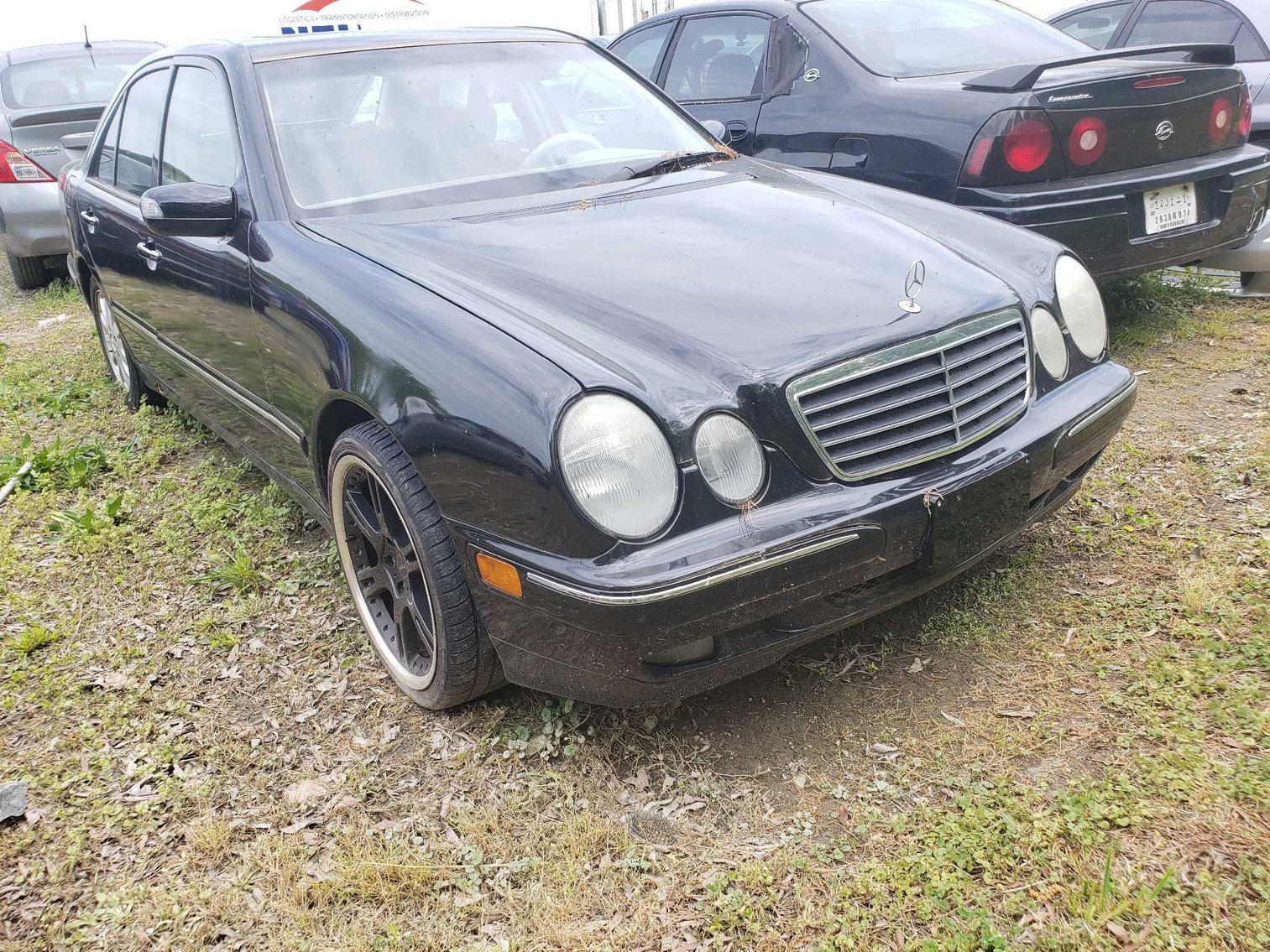 Image for City of Greensboro May Impounds