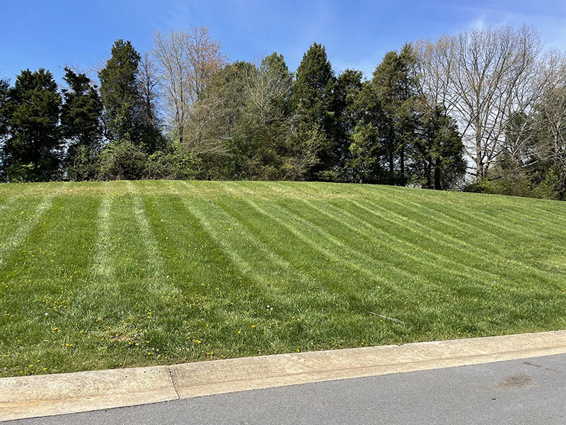 Image for THURSDAY, MAY 5th * 3:00 PM