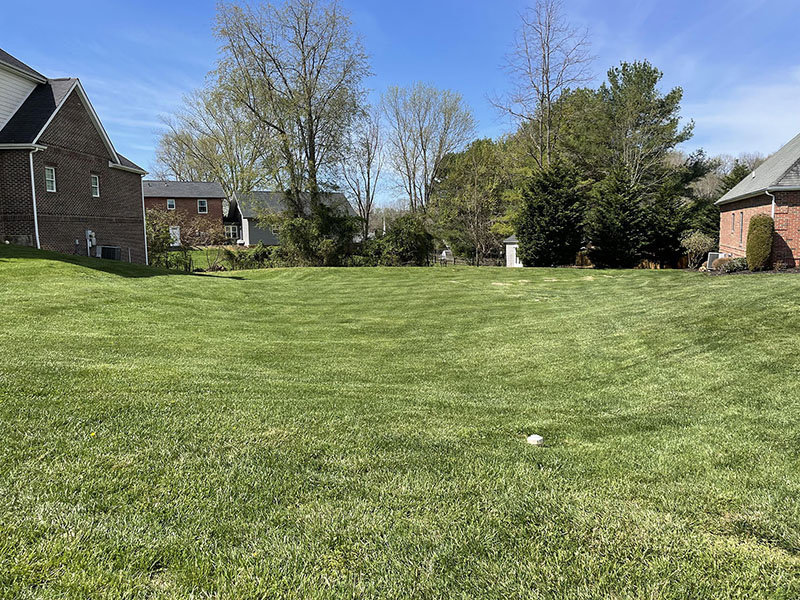 Image for THURSDAY, MAY 5th * 3:00 PM