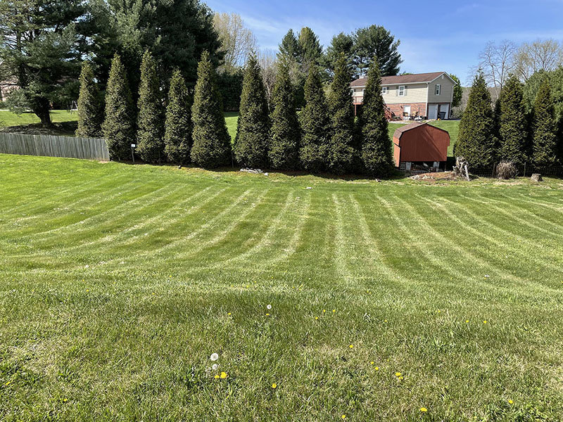 Image for THURSDAY, MAY 5th * 3:00 PM