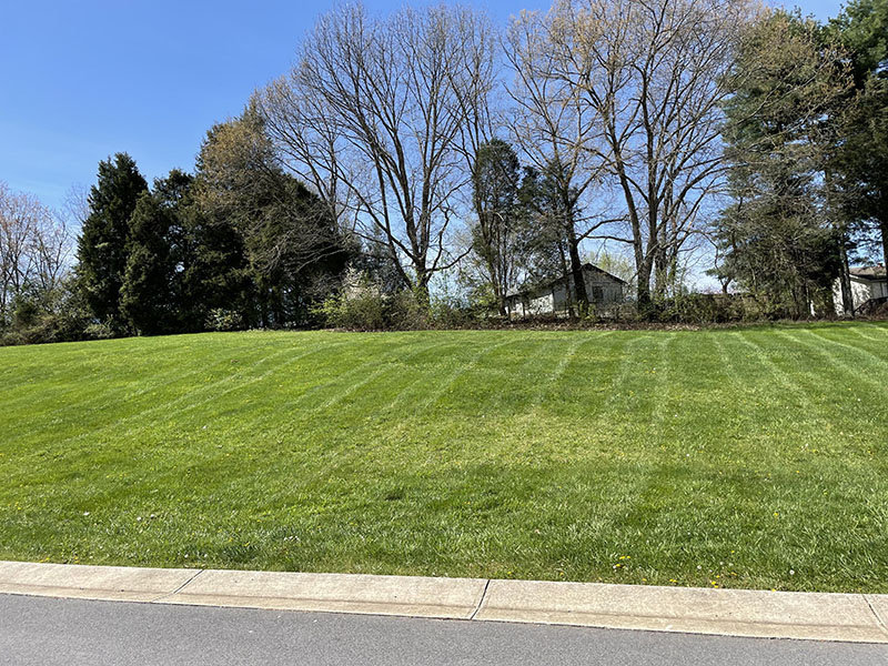 Image for THURSDAY, MAY 5th * 3:00 PM