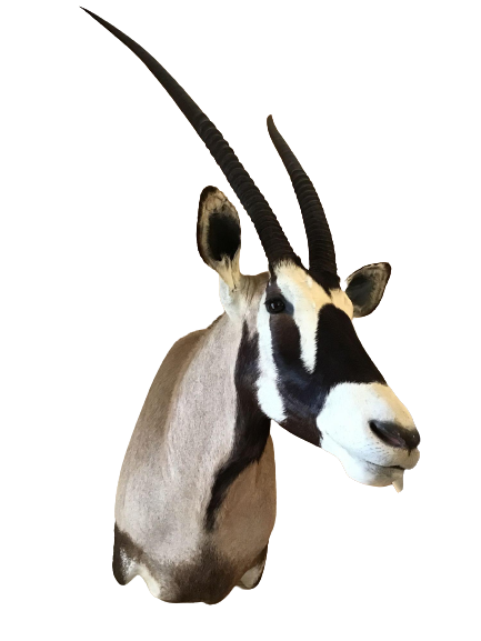 Image for Estate Sale | Sellersville, PA | May 9, 2022 at 8:00 PM