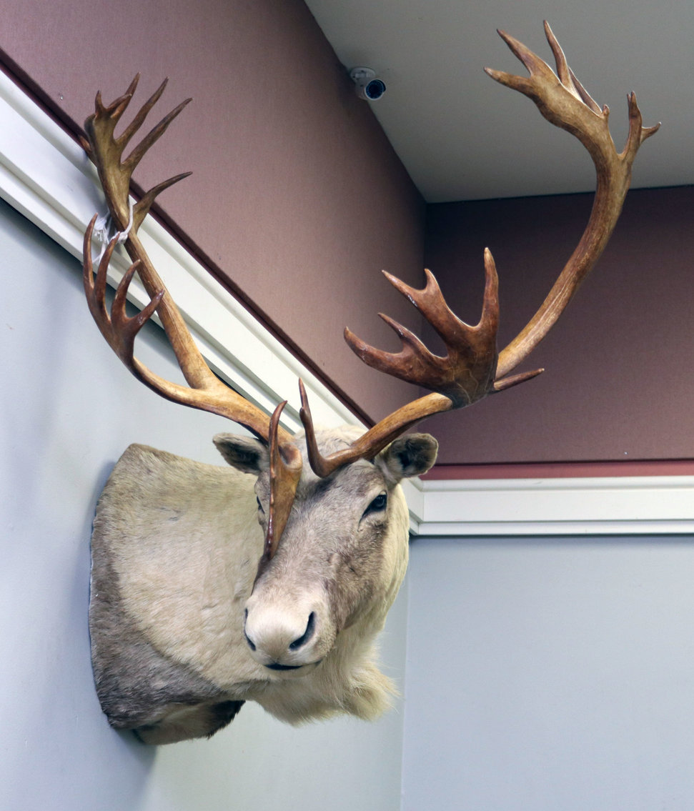 Image for Firearm Reloading Equipment, Outdoor Sporting, and Taxidermy | May 10, 2022 at 7:00 PM