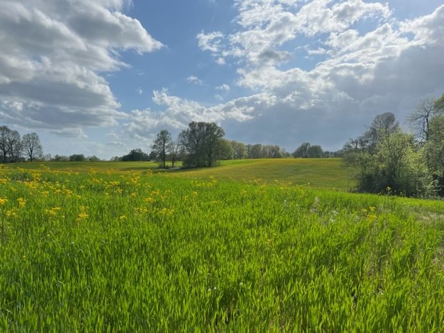 Image for ABSOLUTE LIVING ESTATE AUCTION MCFARLAN ROAD CALVERT CITY, KY