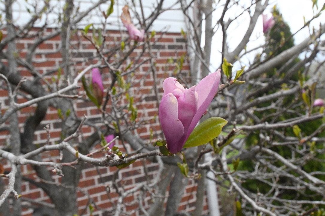 Image for Estate of Nancy Edwards Real Estate