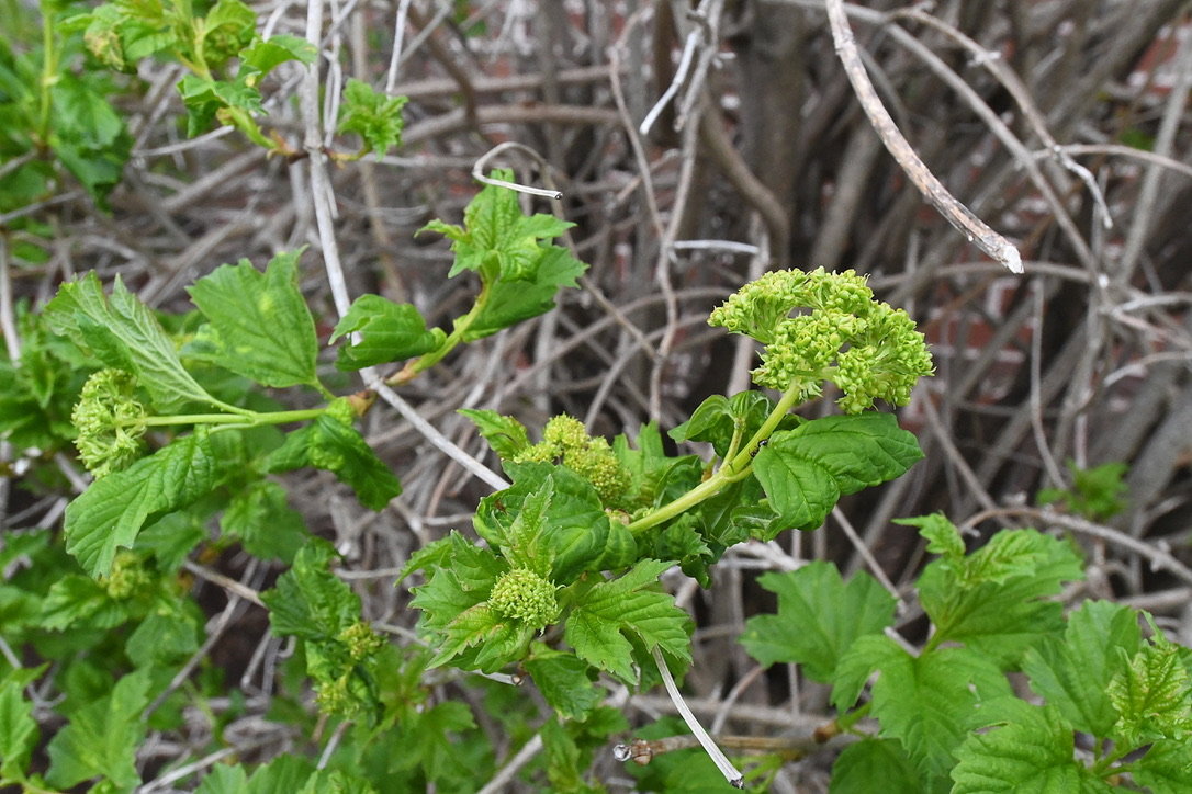 Image for Estate of Nancy Edwards Real Estate