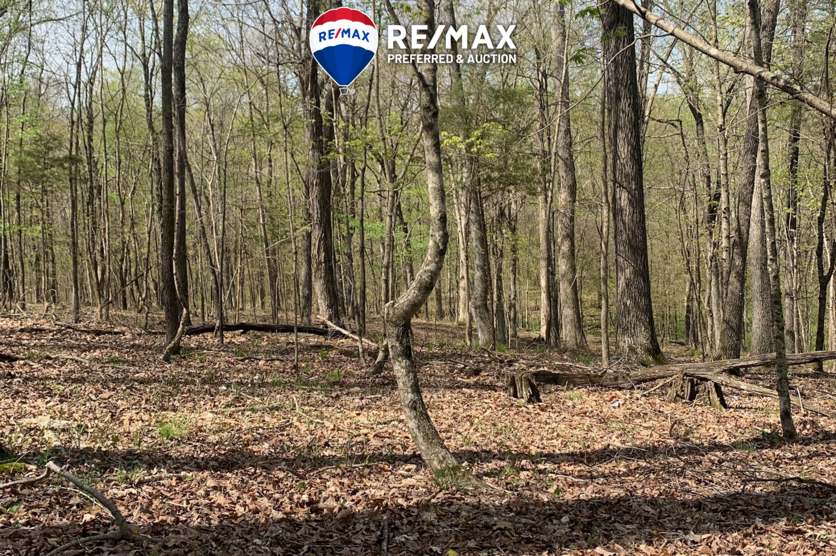 Image for 107 +/- Acres Selling in 4 Tracts