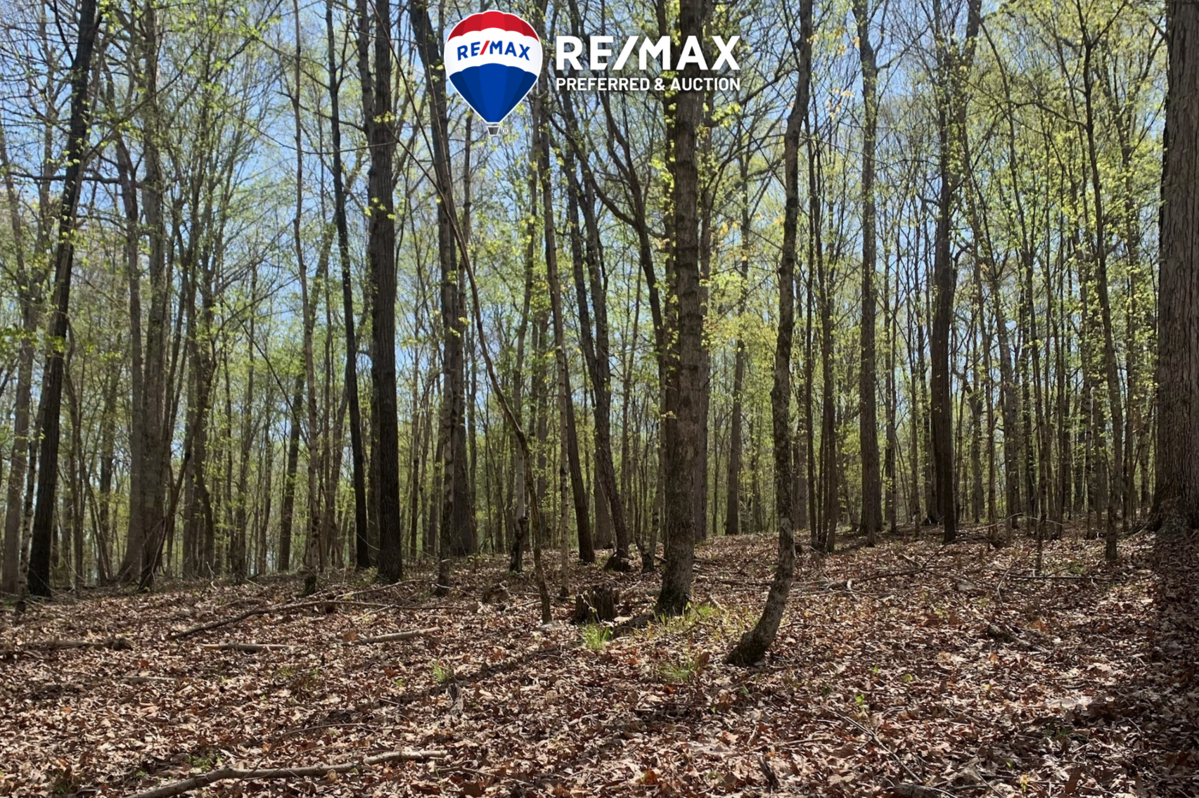 Image for 107 +/- Acres Selling in 4 Tracts