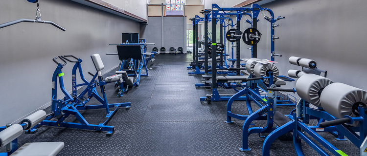 Image for Gym Equipment, Tools & More!!