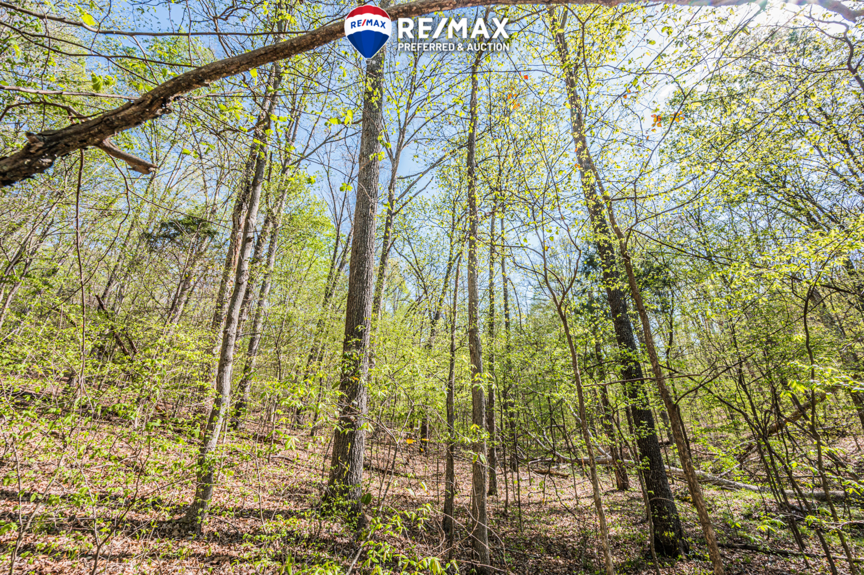 Image for 750 Myers Chapel Road