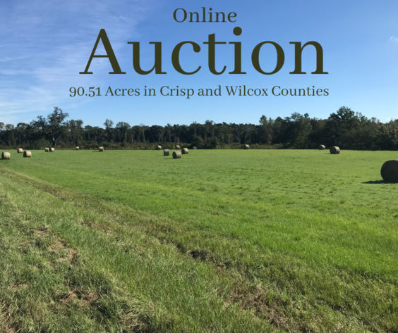 Image for ONLINE AUCTION - 90.51 ACRES LOCATED ON WILLIFORD CROSSING ROAD JUST NORTH OF TREMONT ROAD. SELLING AS A WHOLE