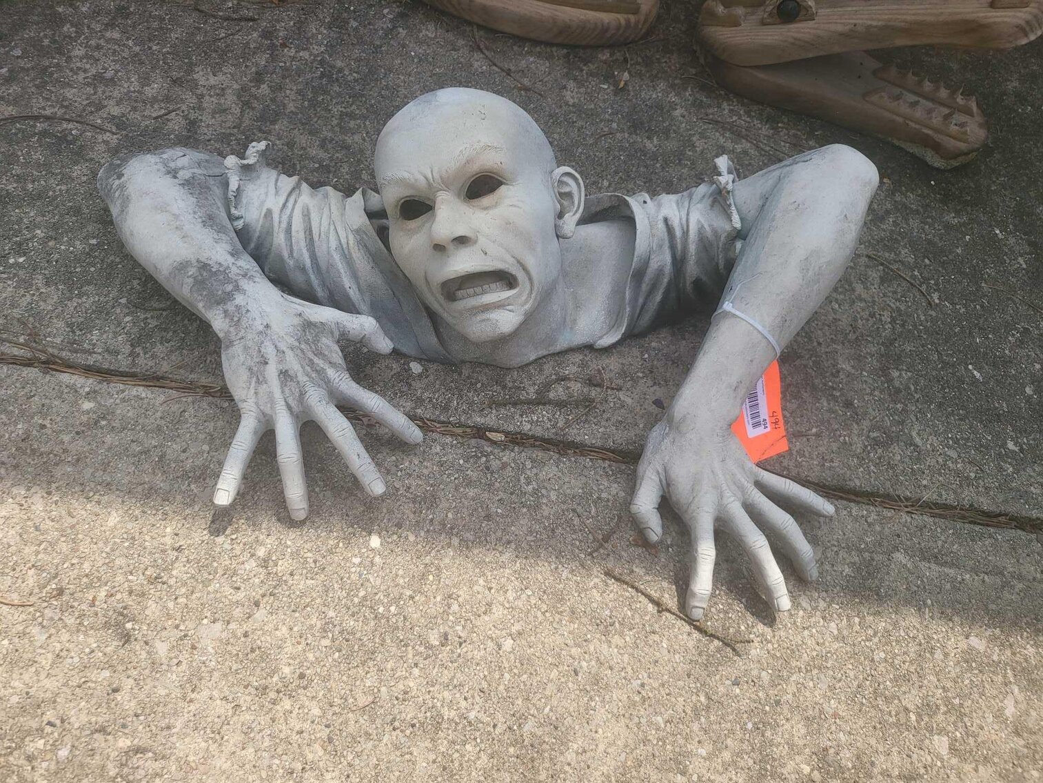 Image for Packer collectibles & household-He-Nis-Ra Lane 2 of 2