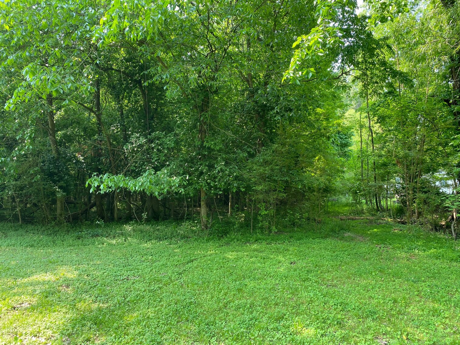 Image for ABSOLUTE ONLINE ONLY LAND AUCTION 1250 STARKE AVE