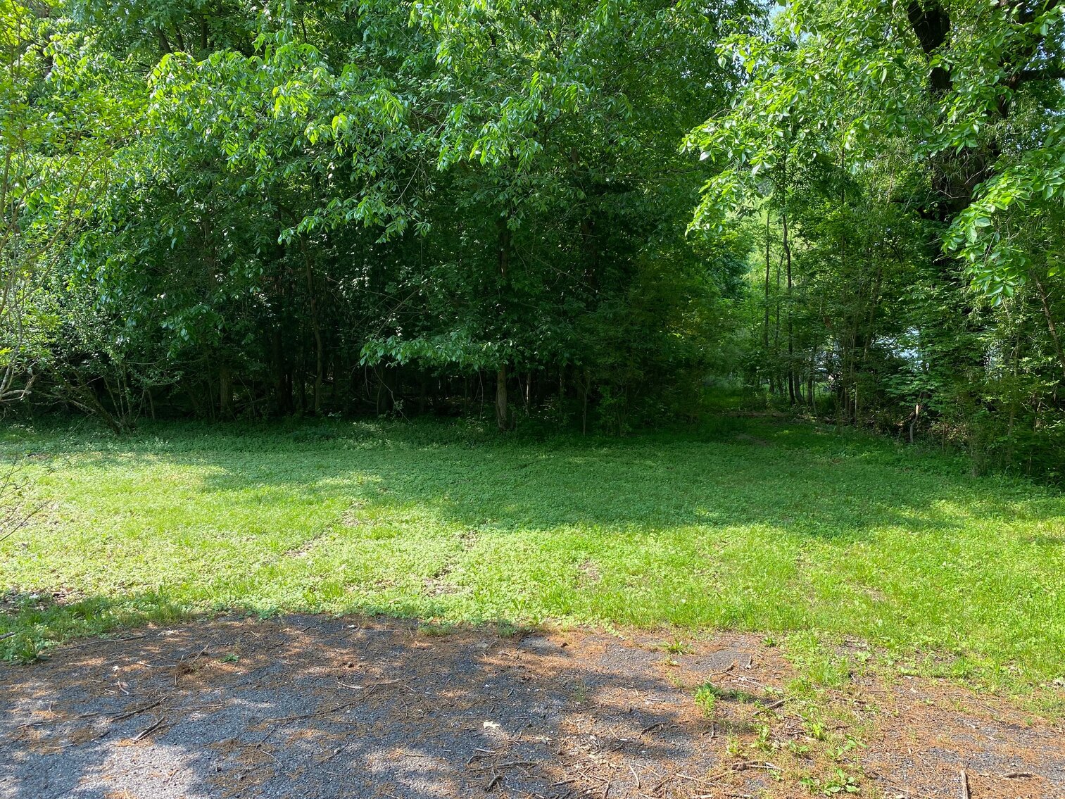 Image for ABSOLUTE ONLINE ONLY LAND AUCTION 1250 STARKE AVE