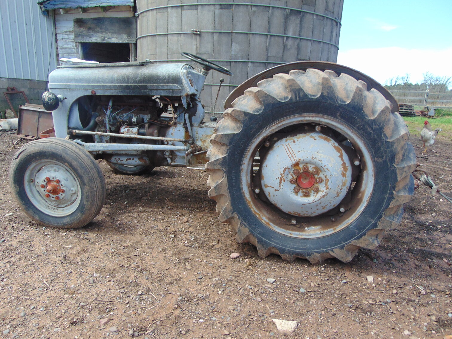 Image for Roy Dot Acres Farms, Owner 25515 Howard Rd., Finlayson Pick up June 3rd 1-5 pm