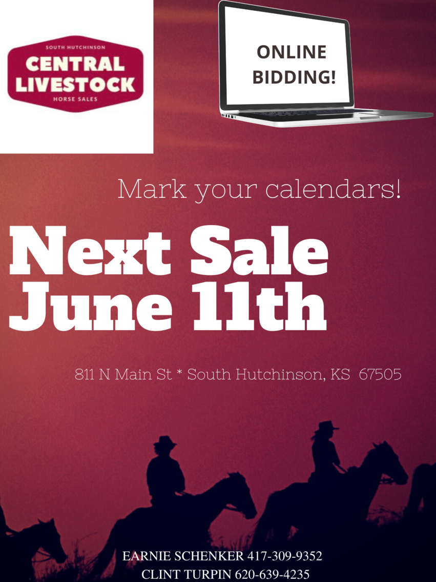 Image for Central Livestock Horse Sale - South Hutchinson, Kansas June 11th