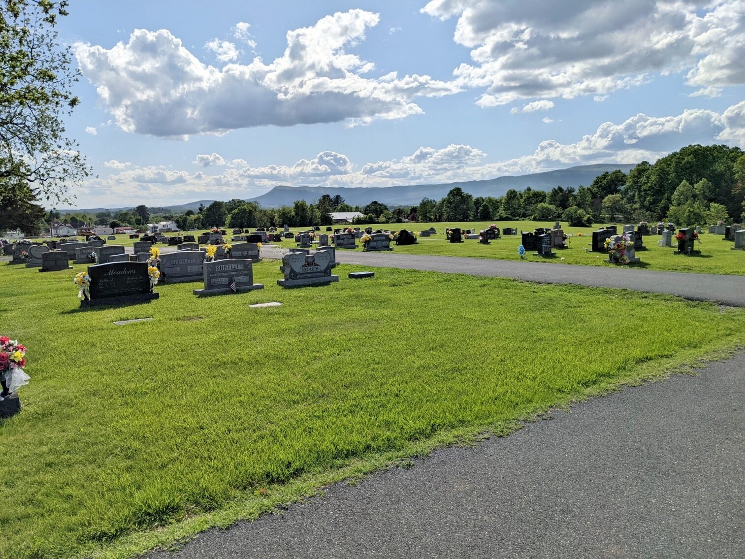 Image for Home And Building Lots In Elkton VA