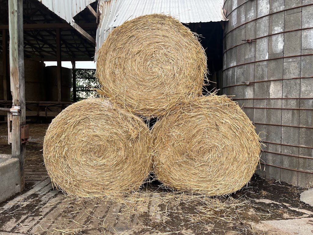 Image for Schramm Dairy Farm Auction