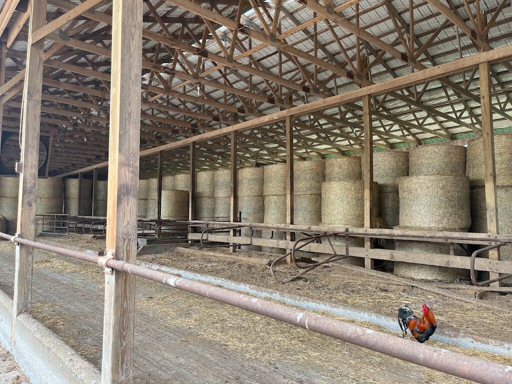 Image for Schramm Dairy Farm Auction