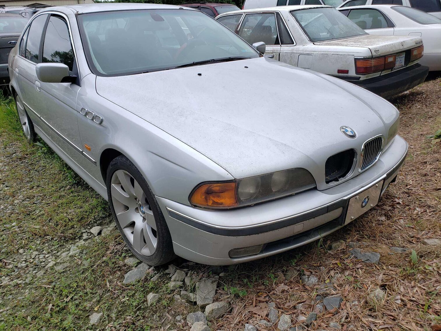 Image for June Impound Auction