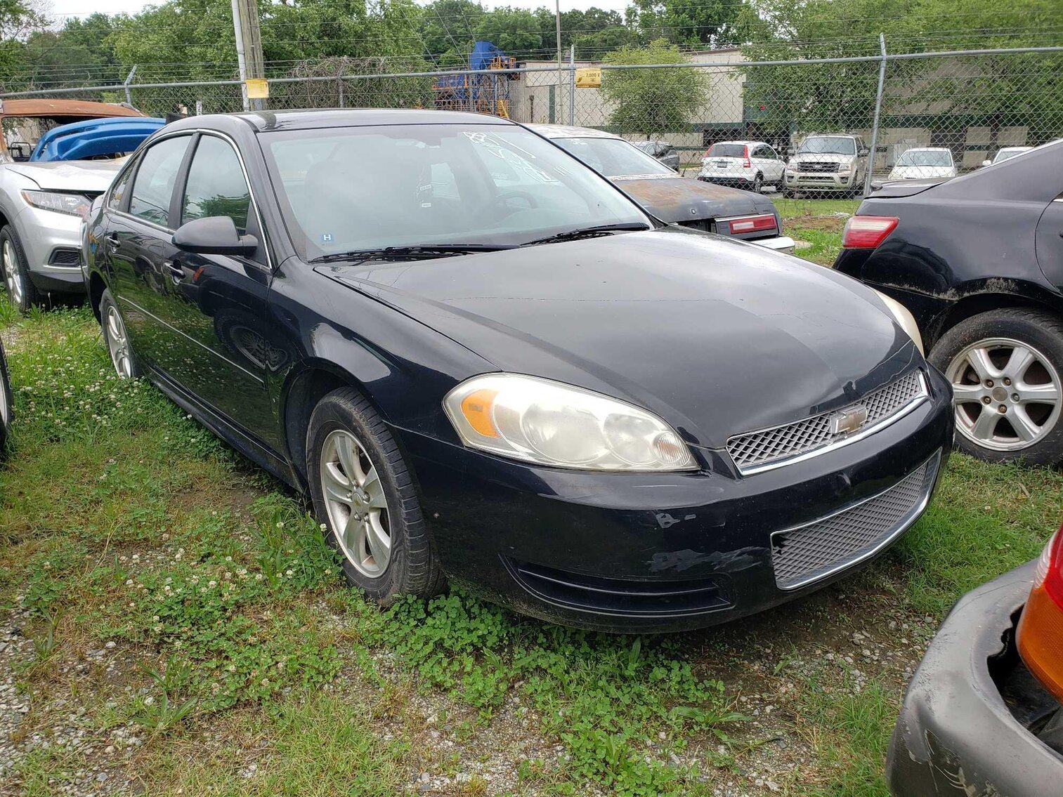 Image for June Impound Auction