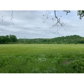 Image for Beaverdam Creek Land Auction  -  Online Auction