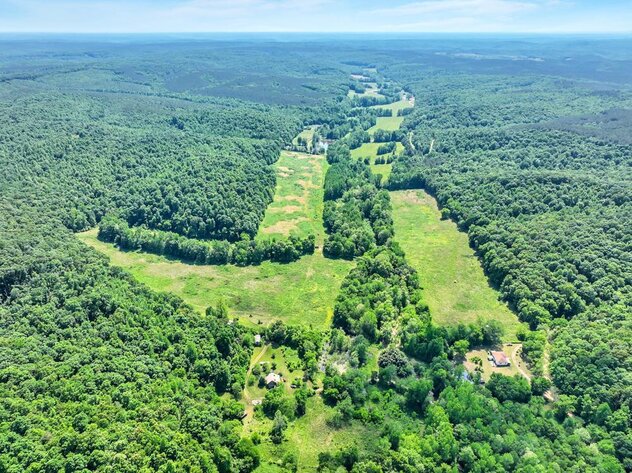 Image for 85 acre Farm Auction on Wades Branch