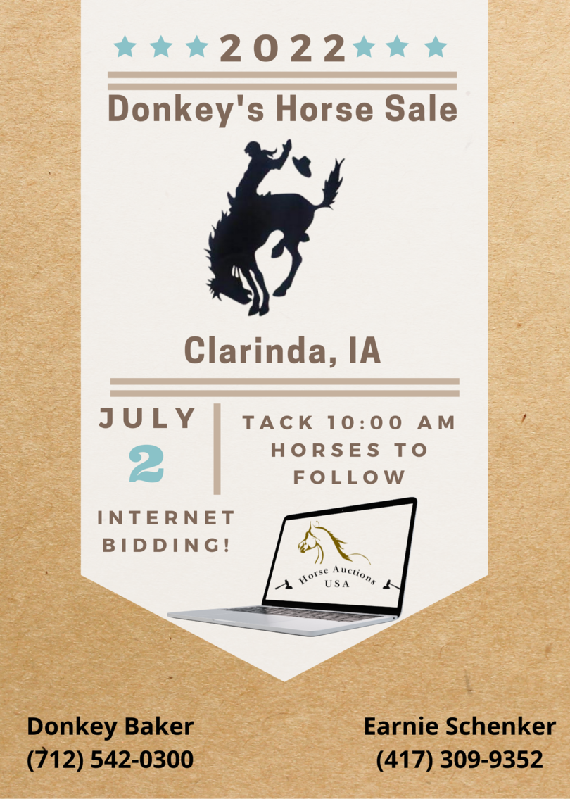 Donkey's Horse Sale Independence Day Special July 2nd Clarinda, Iowa