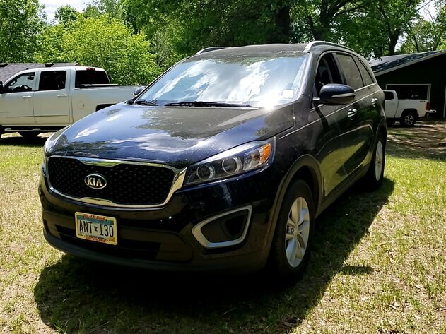 Image for Douglas Wolfsteller Estate