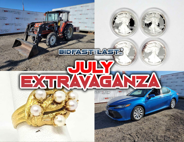 Image for Bid Fast and Last July Government Auction