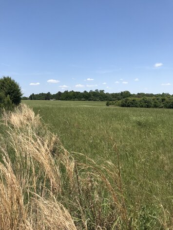 Image for LIVE ESTATE AUCTION - To Settle a portion of the R. Franklin & Jane Jordan Bledsoe Estate - 202.535 Acres Located on Rocky Creek Road and Bloomfield Drive, Macon